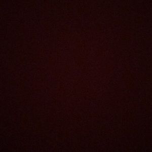 Meet your Posher, Randi